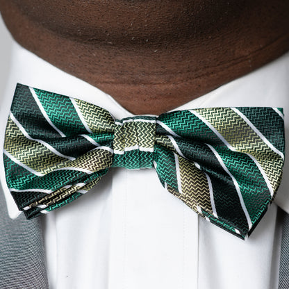 Pablo's Bow Tie & Handkerchief Set