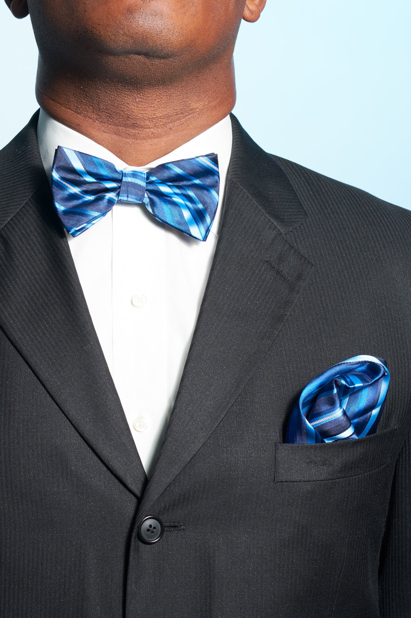 Dignified Bow Tie & Handkerchief Set